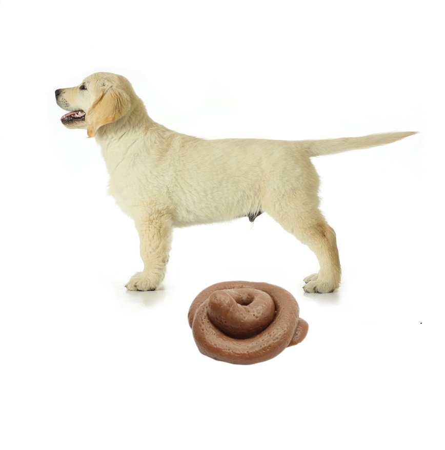 Fake Poop Gag Gift - Jouet moelleux drôle en forme de