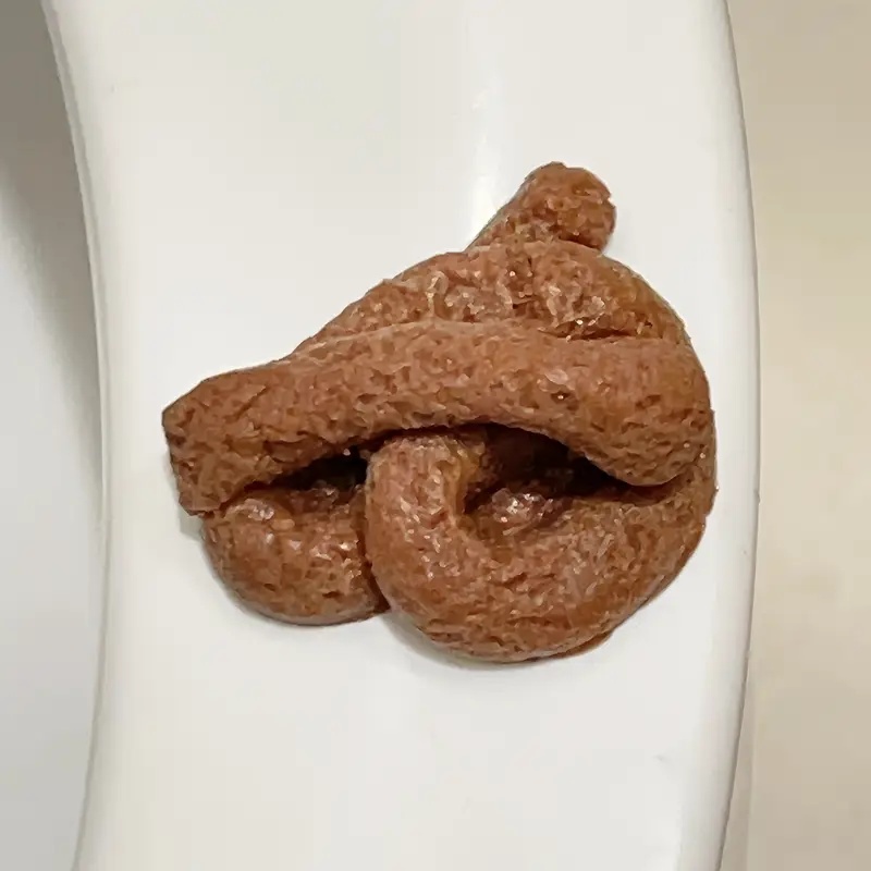 Jouet de farces de fausse merd - Fake Poop Gag Gift avis et prix