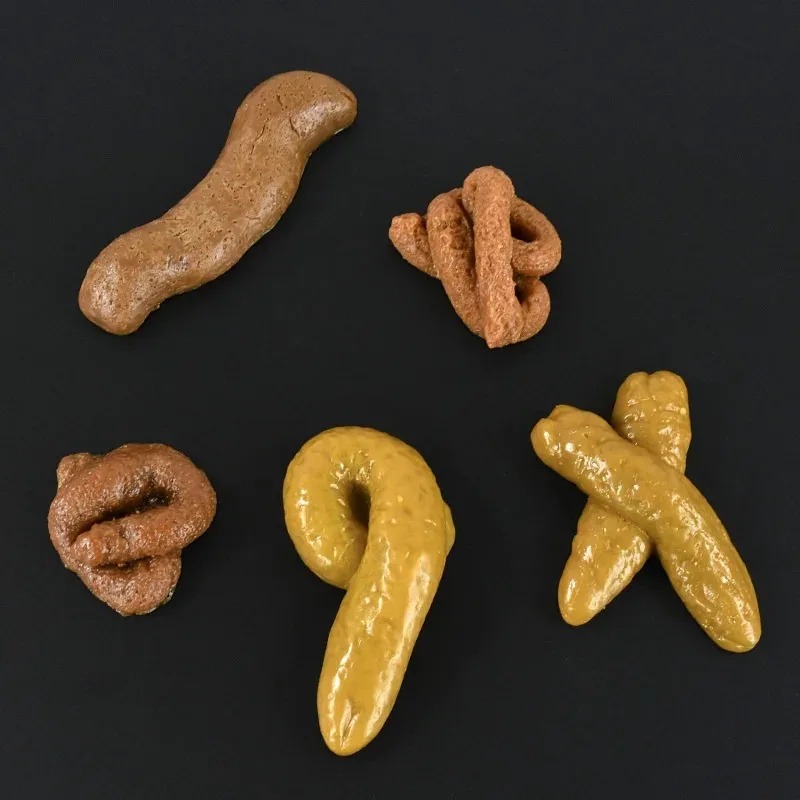 Caca réaliste en plastique sûr - Fake Poop Gag Gift avis et prix