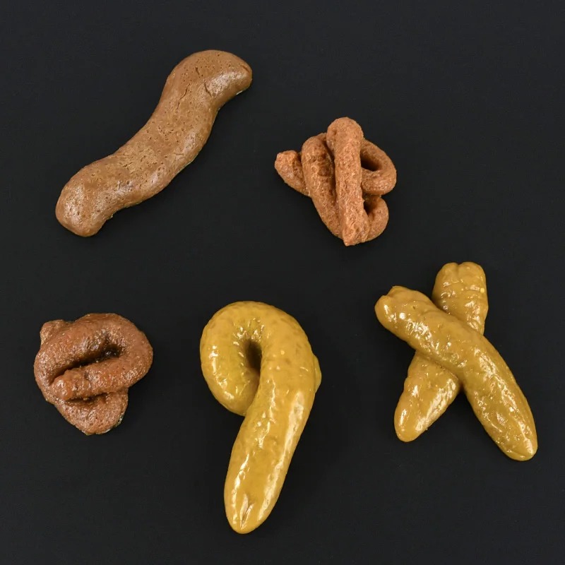 Merde réaliste en plastique so - Fake Poop Gag Gift avis et prix